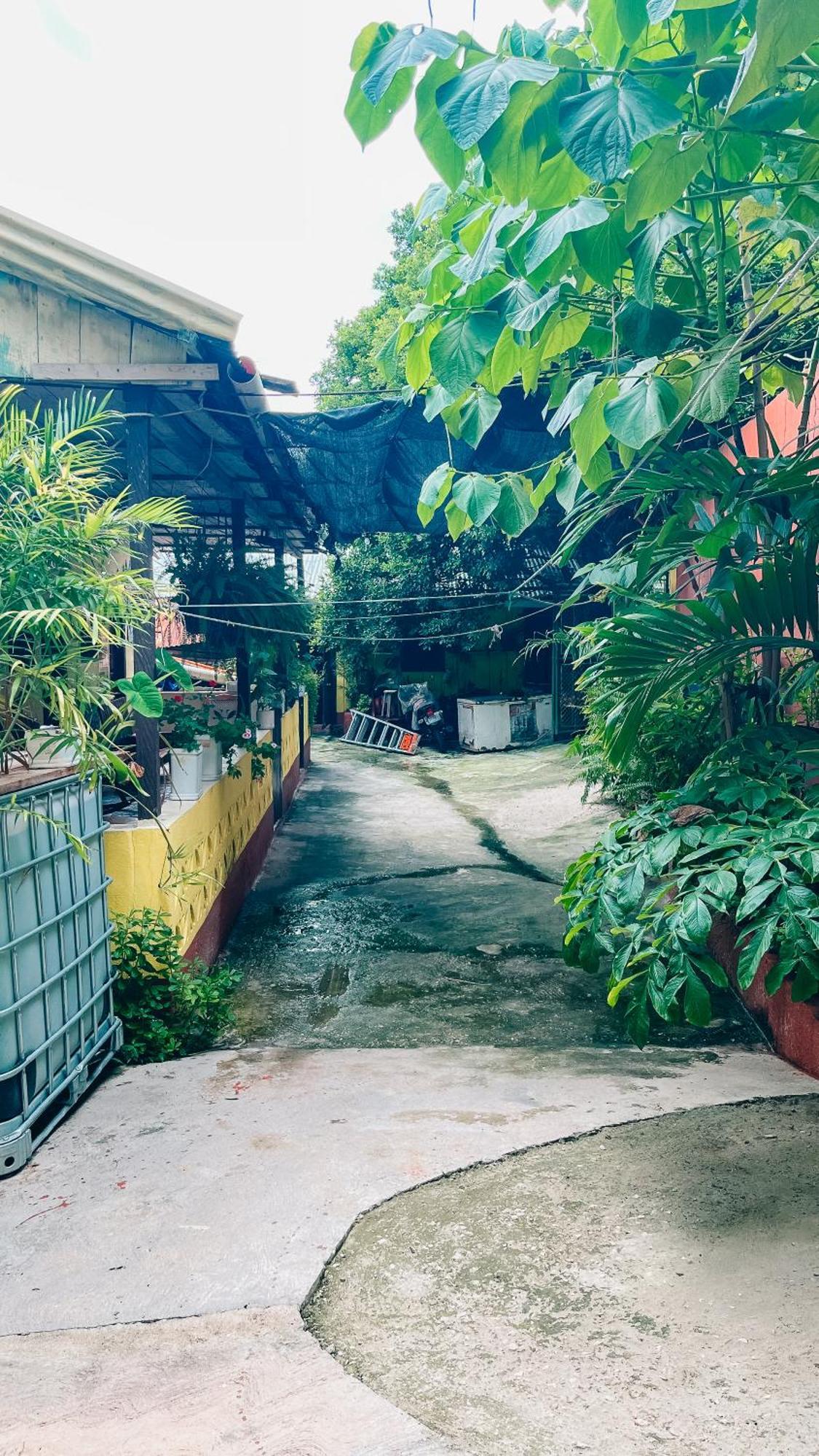 Zazil Ha Hotel *